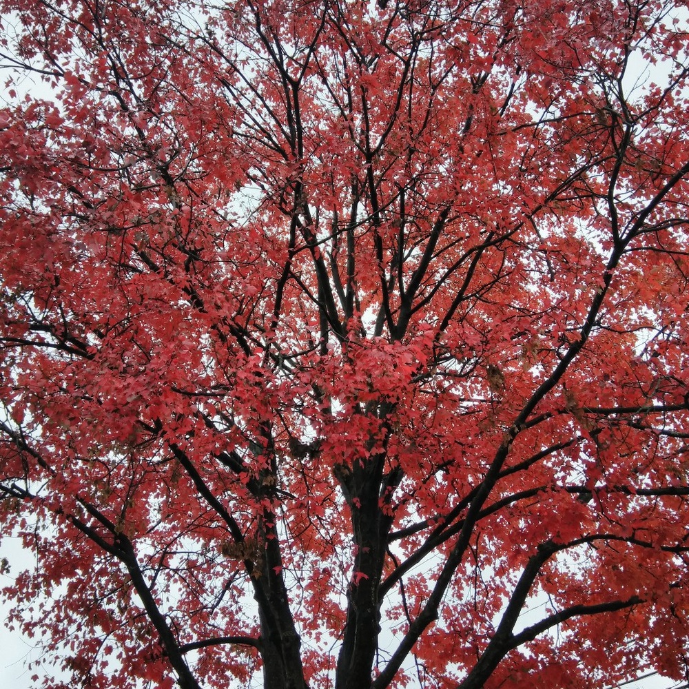 Meet your Posher, Andreia